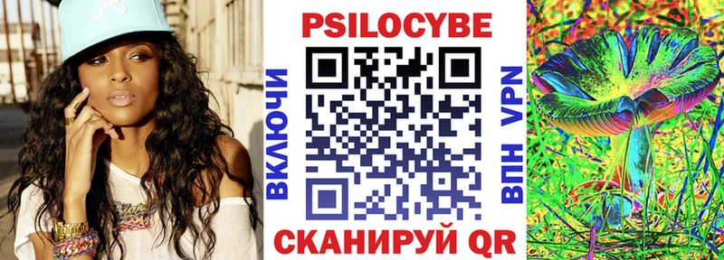 Галлюциногенные грибы Psilocybine cubensis  Сковородино 